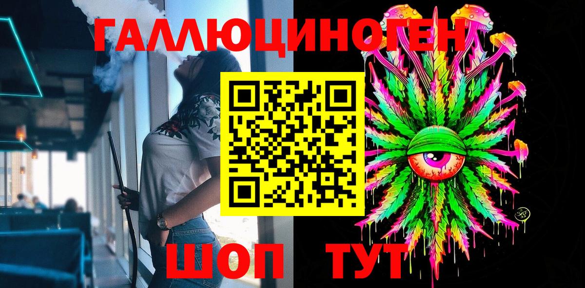 Псилоцибиновые грибы Psilocybe Гуково