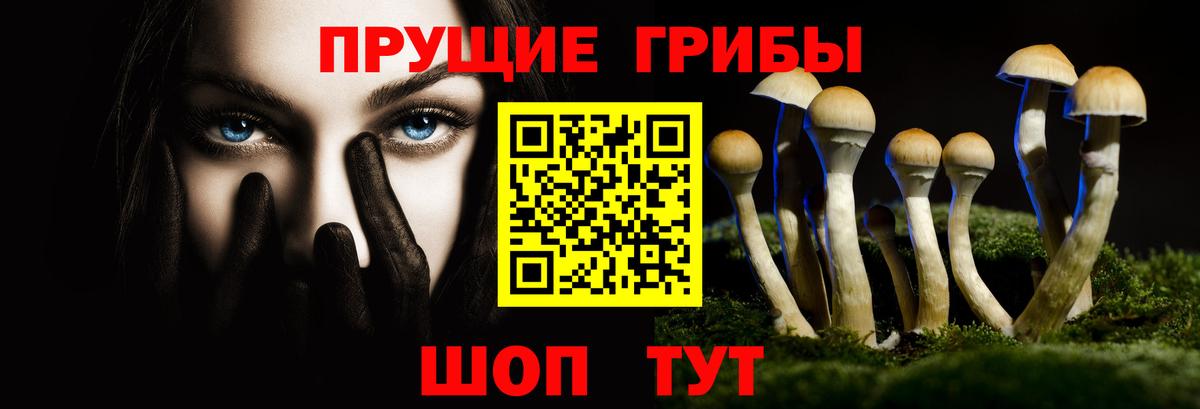 Галлюциногенные грибы MAGIC MUSHROOMS  Псилоцибиновые грибы Psilocybe  наркошоп  Гуково  Вход с VPN 